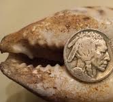 ancient gold coin